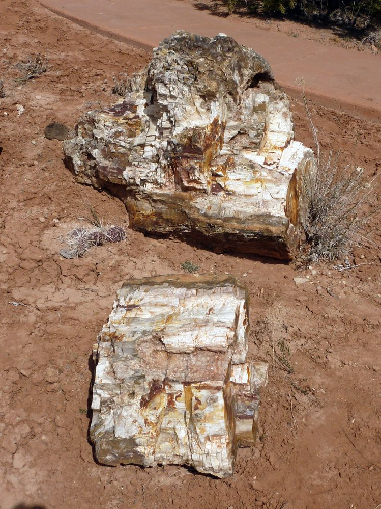 Escalante state park (28).JPG